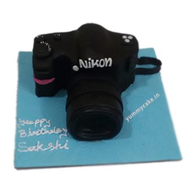 Fondant Camera Cake