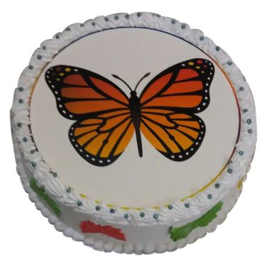 Butterfly cake