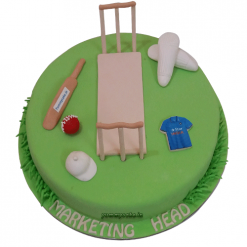 Designer Cricket Cake