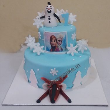 Frozen Cake