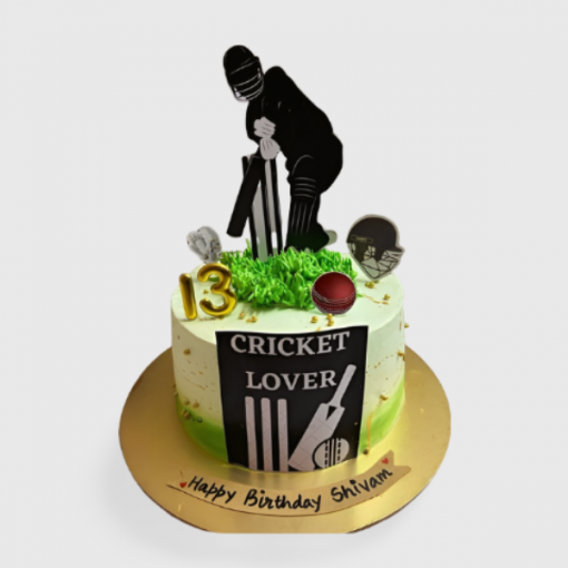 Unique Cricket Theme Cake