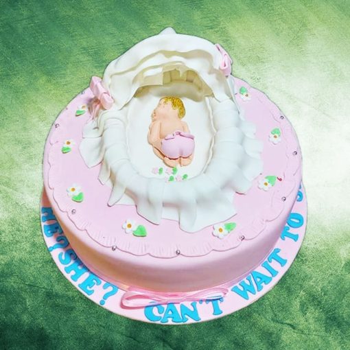 Welcome New Born Baby Cake