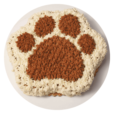 Dog Paw Cake