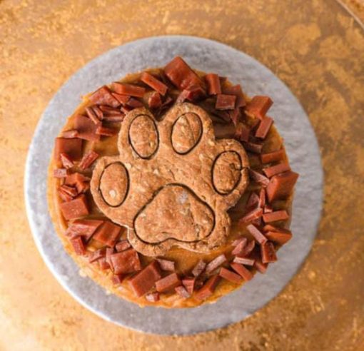 Dog Paw Print Cake