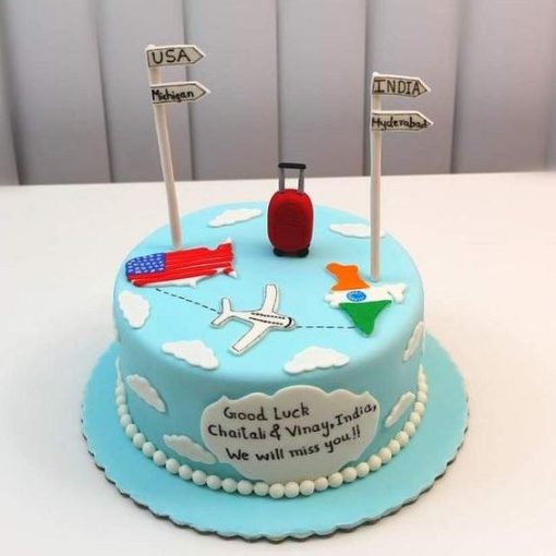 Flying USA to India Cake