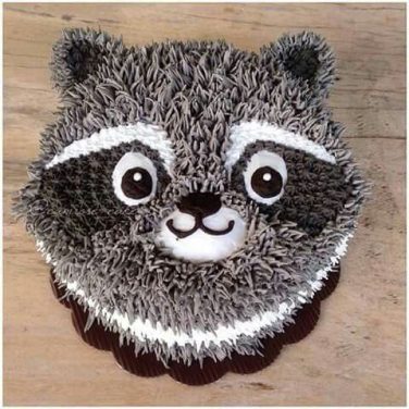 Raccoon Birthday Cake