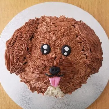 Cavapoo Face Cake