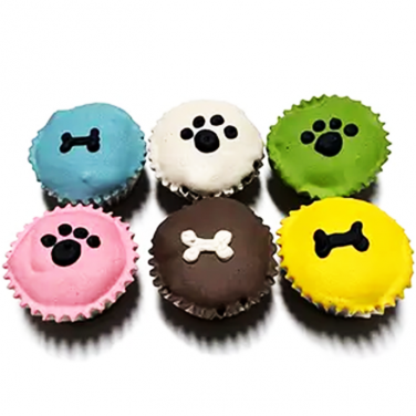 Dog Party Treat