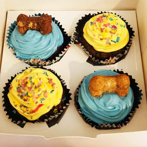 Dog Special Gourmet Cupcakes