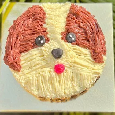 Shihtzu Face Cake